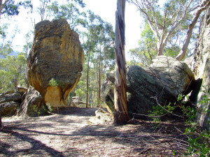 Dunns Swamp and Rylstone March 2007 038