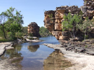 kakadu 