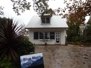 Blue Moon Yoga Studio viewed from Holland Street